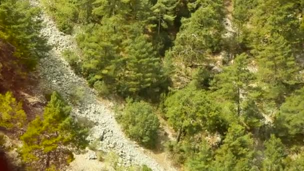 La ladera de la montaña cubierta de pinos. Vista desde arriba — Vídeos de Stock