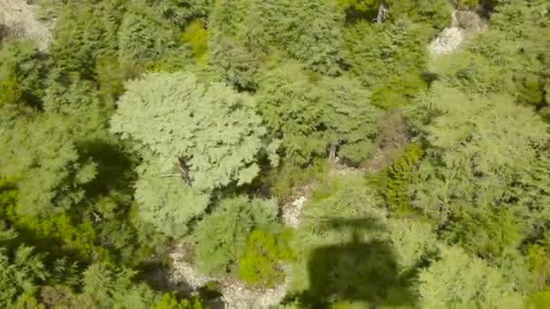 Vista dalla funivia del finestrino tra le montagne boscose — Video Stock