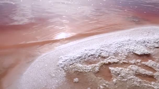 Волны на поверхности розового соленого озера — стоковое видео