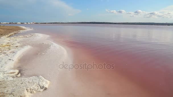 Живописный мирный вид на красочное розовое солёное озеро — стоковое видео
