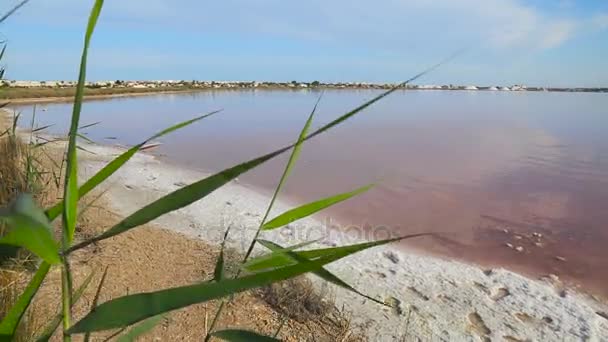 Panoramisch uitzicht op de kleurrijke roze Salt Lake — Stockvideo