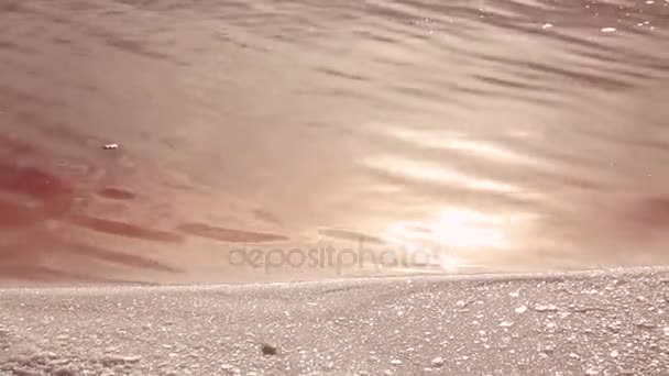 Край води рожевого озера з сонячними променями — стокове відео