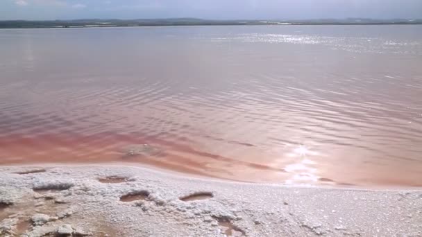 Vacker utsikt över färgglada rosa Salt Lake — Stockvideo