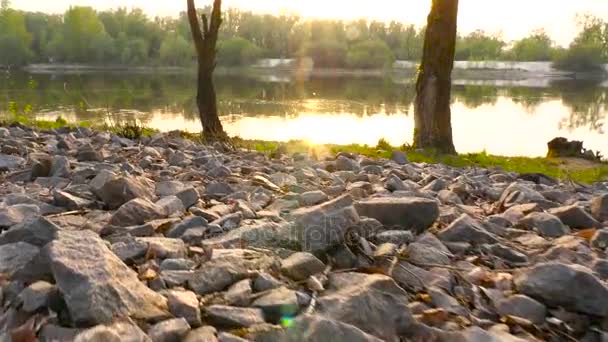 La telecamera si muove su una pietra sullo sfondo di un fiume. I raggi del sole. Alberi — Video Stock