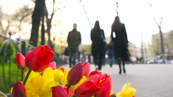 Sprzedaż kwiatów na ulicy. Czerwone i żółte tulipany. Przechodzących ludzi — Wideo stockowe