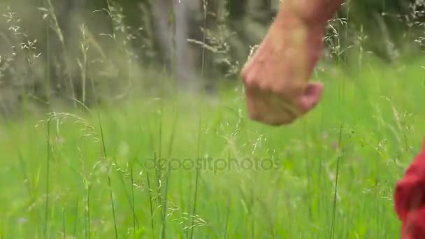 Berührt der Mann mit der Hand das Gras. Nahaufnahme — Stockvideo