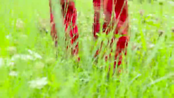 Ноги людей, идущих по полю с травой и цветами — стоковое видео