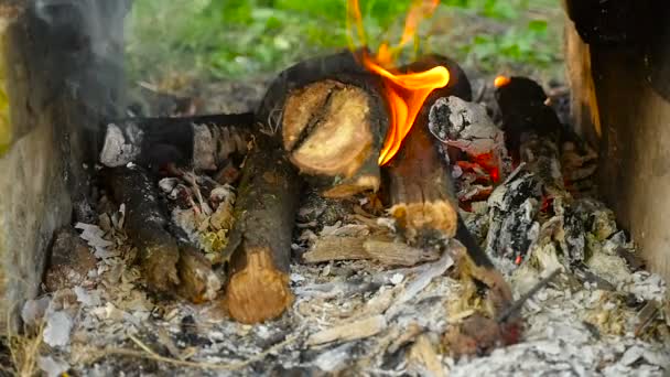 Brûler le bois au ralenti. Gros plan — Video