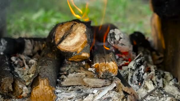 Le bois de chauffage brûle au ralenti au grand air. Gros plan . — Video