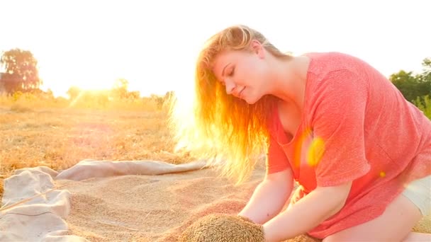 En vacker flicka är plocka upp ett korn av vete i händerna mot solnedgången. Fördröjd skytte. En stack av hö. — Stockvideo