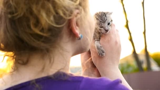 Uma menina bonita está segurando um gatinho pequeno. Gatinho recém-nascido. Movimento lento — Vídeo de Stock