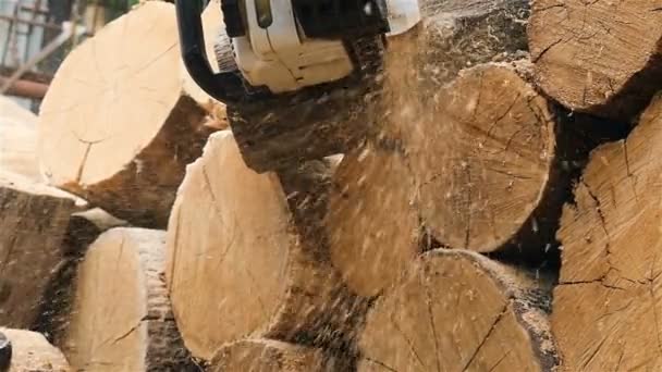 Zrębki drzewne w zwolnionym tempie leci prosto w kamerę. Piłowanie drewna opałowego z piłą łańcuchową — Wideo stockowe