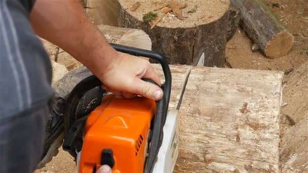 Las manos de los hombres sostienen una motosierra. Aserrado de leña. Movimiento lento — Vídeos de Stock