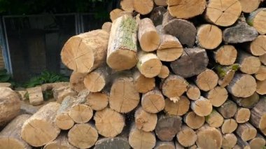 Yakacak odun yıkılışı. Çekim gecikmiş. Yakacak odun düşüyor