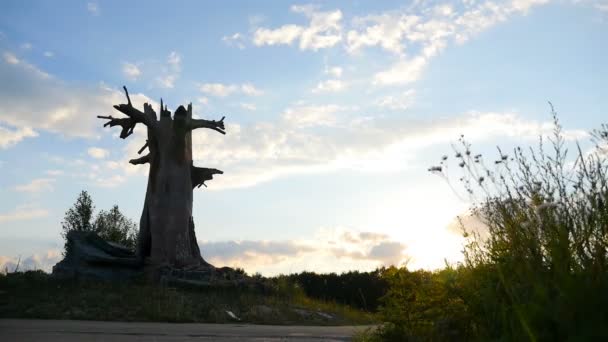 Silhouette d'un vieux chêne dans un champ. Beau ciel bleu avec des nuages. La caméra avance — Video