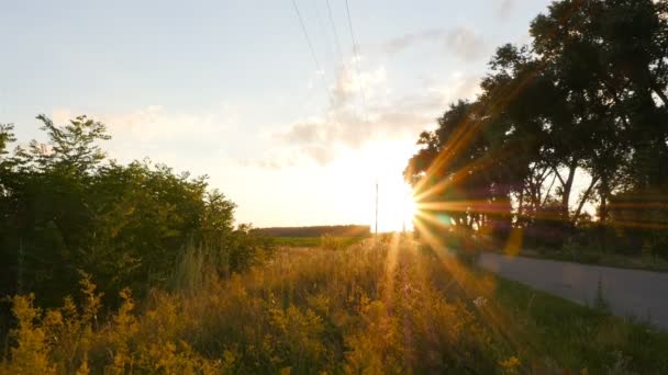 Puesta de sol brillante en el campo con hierba verde. La cámara está en movimiento. Hermoso paisaje con una carretera en el campo — Vídeos de Stock