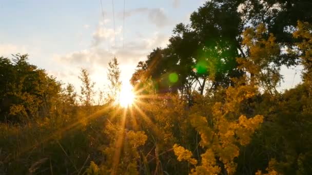 Rayos de sol brillantes. Hermosa puesta de sol en el campo con hierba. Cámara en movimiento — Vídeo de stock