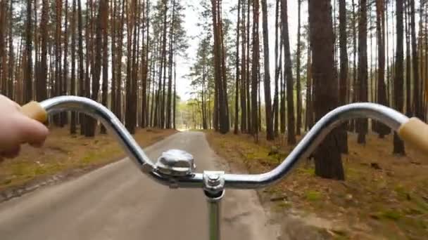 Um homem anda de bicicleta. Linda floresta de pinheiros. Longo caminho. Câmera subjetiva — Vídeo de Stock