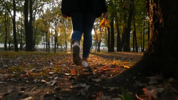 秋の公園を歩いている女の子。美しい夕日。美しい場所だカメラが動いている。スローモーション — ストック動画