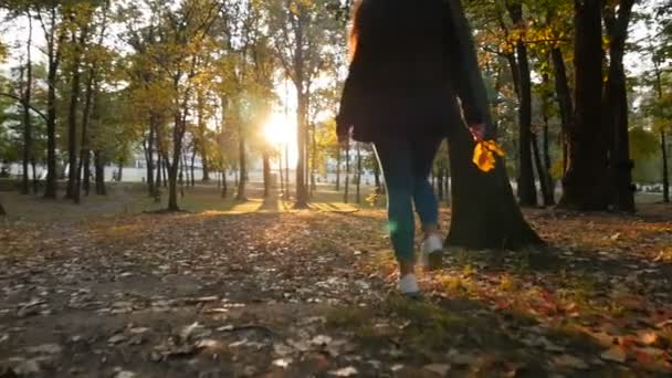 Egy lány besétál a parkba sárga levelekkel a kezében. Gyönyörű naplemente. Gyönyörű hely. A kamera mozgásban van. Lassú mozgás. — Stock videók