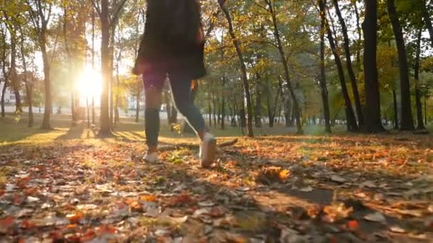 Güzel kız gün batımında parkta yürür. Güzel ve pitoresk bir yer. Kamera hareket halinde. Yavaş çekim — Stok video