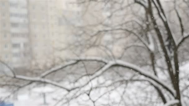 Linda paisagem de inverno. A neve está caindo no fundo de uma casa turva. Um close-up de flocos de neve. Está frio lá fora — Vídeo de Stock