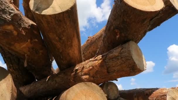 Un primer plano de madera de pino. Una gran pila de árboles aserrados. La cámara está en movimiento. Cielo azul con nubes blancas. Movimiento lento — Vídeo de stock