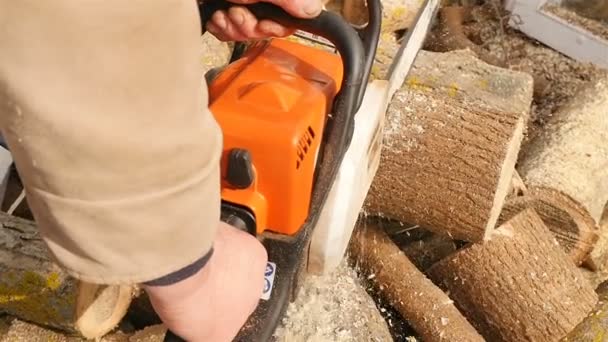 Lumberjack chopping wood with a chainsaw. Slow motion — Stock Video