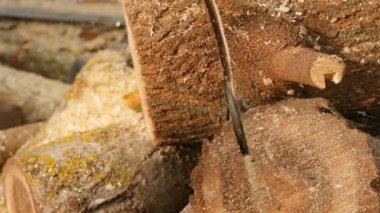 Tahtayı elektrikli testereyle kesiyor. Kütüğe yakın çekim. İnce toz odun kırıntıları. Yavaş çekim