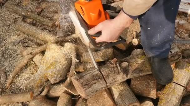 Un leñador adulto y profesional corta un árbol con una motosierra. En el campo. Movimiento lento — Vídeos de Stock