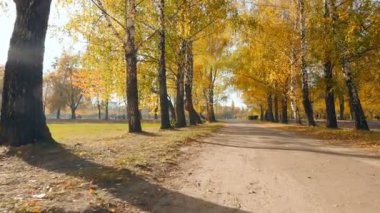 Sonbahar parkında düz yol. Kenarları çok güzel. Parlak güneş ışınları