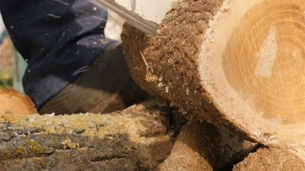 Cutting through wood with chainsaw. Close-up. Slow motion — Stock Video