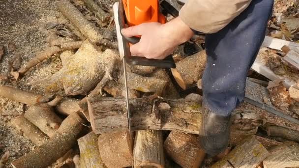 Опытный лумберджек спиливает дерево бензопилой. Медленное движение. Заготовка дров для отопительного сезона зимой — стоковое видео