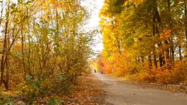 Beautiful autumn park with people. Camera in motion