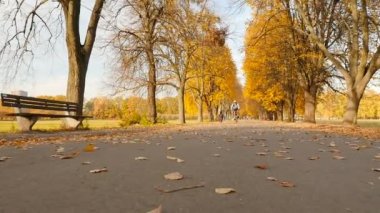A cyclist rides past the camera. Autumn park with fallen yellow leaves. Slow motion.10.15.2019 Ukraine, Kiev VDNH