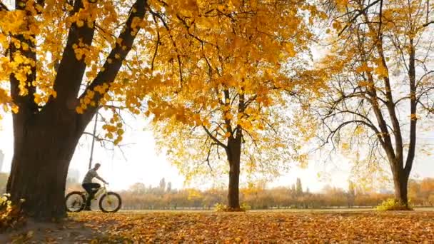 Father and daughter ride their bikes in the autumn park. 10.15.2019 Ukraine, Kiev VDNH — 图库视频影像