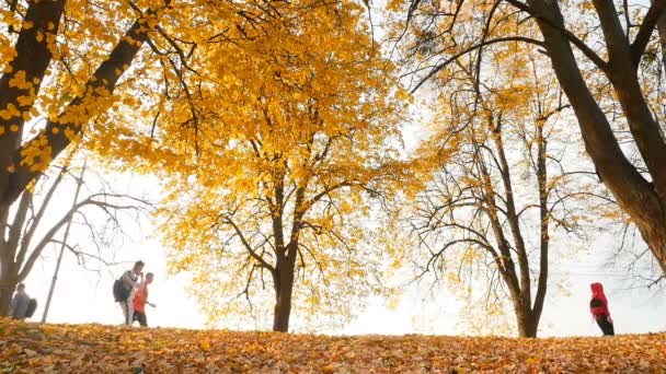 En gruppe studerende går i efterårsparken. Gule træer. Faldne blade. Langsom bevægelse 10.15.2019 Ukraine, Kiev VDNH – Stock-video