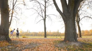 Guy with a girl skateboarding. Autumn park with old trees and yellow foliage. Slow motion 10.15.2019 Ukraine. Kiev VDNH