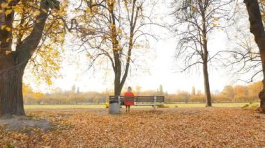 Girl in a red dress is sitting on a bench. Autumn park with yellow foliage. Camera in motion