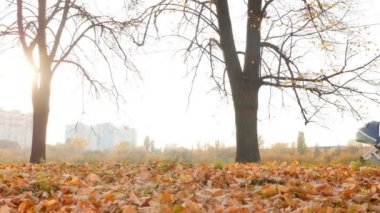A woman walks with a pram. Autumn Park 10.15.2019 Ukraine. Kiev VDNH