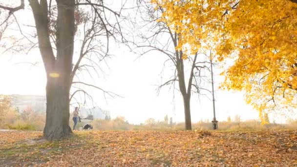 Girl with a pram walking in the autumn park. Bright rays of the sun shine through the leaves of the trees. Slow motion 10.15.2019 Ukraine. Kiev VDNH — стокове відео