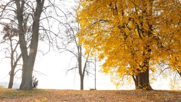 People walking in the autumn park. Slow motion 10.15.2019 Ukraine. Kiev VDNH — Stockvideo