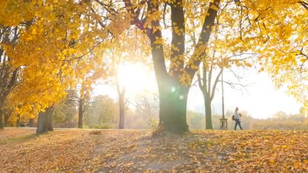 Beautiful autumn park with yellow leaves. Pedestrian zone. Woman walking with a baby 10.15.2019 Ukraine. Kiev VDNH — Stock video