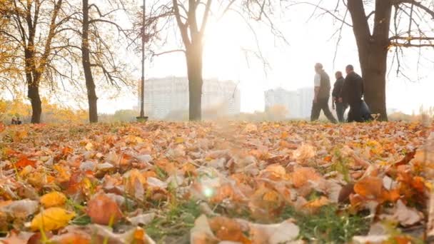Picturesque autumn park. People are walking around. Slow motion 10.15.2019 Ukraine. Kiev VDNH — Stock video