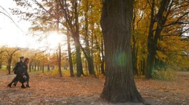 Girls are walking in the autumn park. The bright rays of the sun. Slow motion 10.15.2019 Ukraine. Kiev VDNH