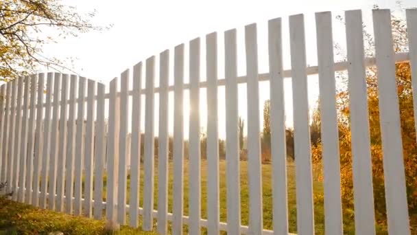 Beautiful white fence with a green lawn. Bright rays of the sun. Camera in motion — Stok video