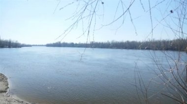 Ön planda dalları olan geniş bir nehir. Saf doğa.