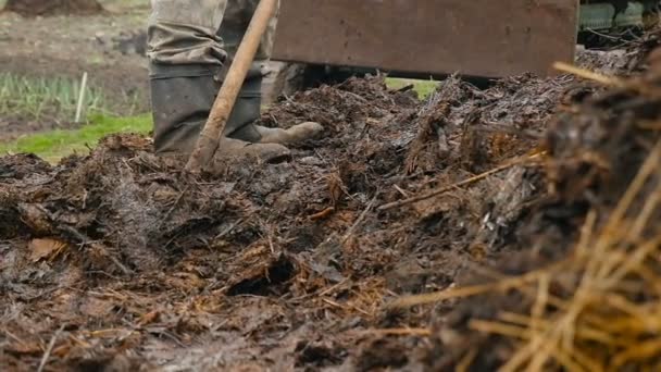 A farmer in boots is loading fresh manure. Slow motion. Close-up — Stock Video