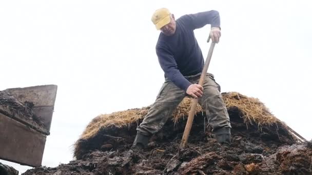 Landwirt lädt die Gülle in den Anhänger. Zeitlupe — Stockvideo