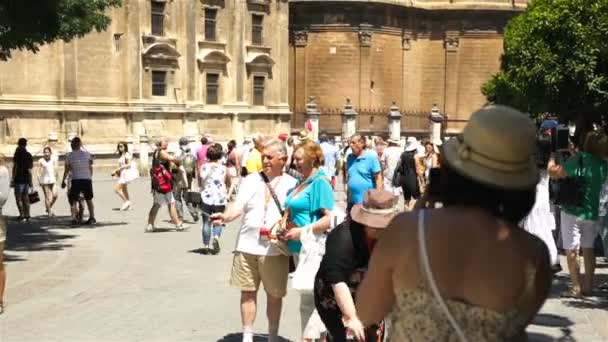 Sevilla, España 02.02.2020 Hombre adulto con mujer se hace una selfie al teléfono en la Plaza de España. Clima soleado — Vídeo de stock